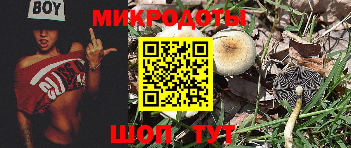 Галлюциногенные грибы GOLDEN TEACHER  Вход с VPN  Новодвинск  Псилоцибиновые грибы прущие грибы 