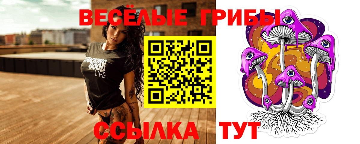 Псилоцибиновые грибы MAGIC MUSHROOMS Новодвинск